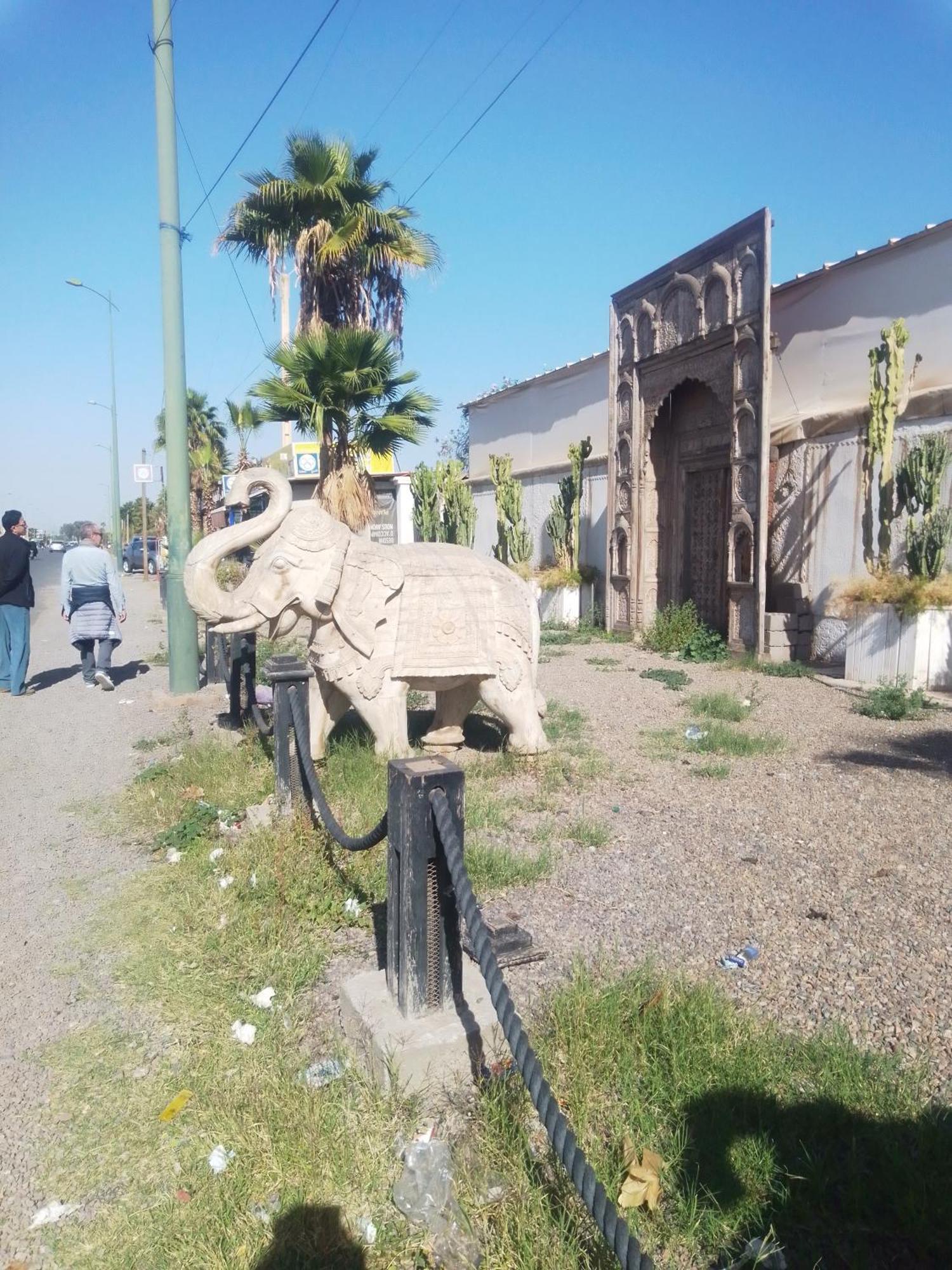 Riad Bouganville Bleu Marrakesh Esterno foto